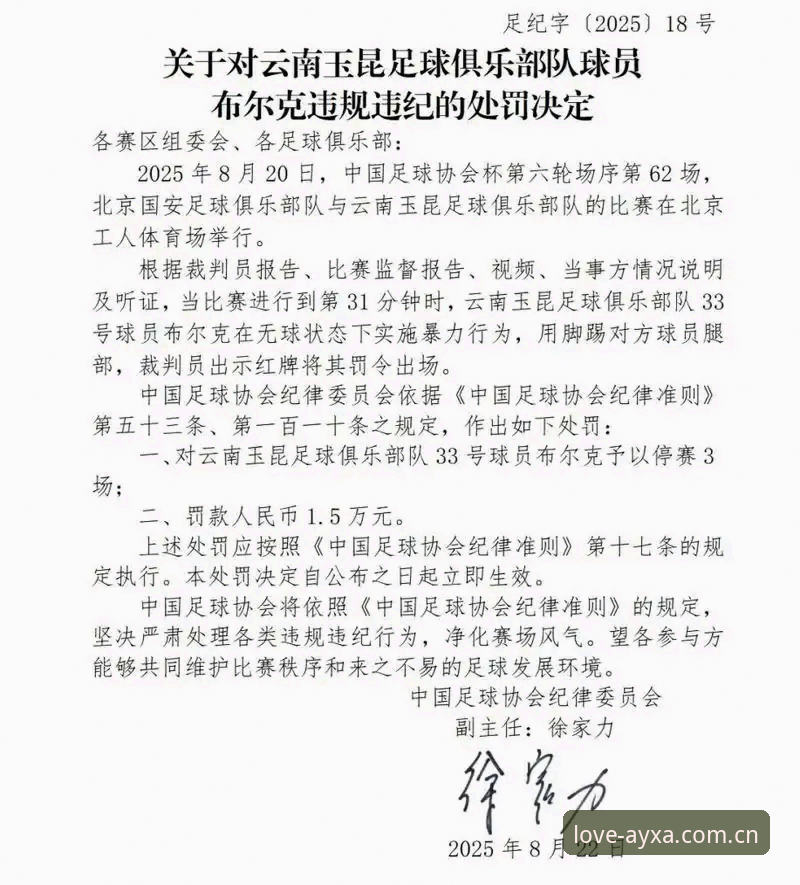 足球行业禁足名单深度解读指南：从第三批处罚看赛事数据追踪的正确打开方式